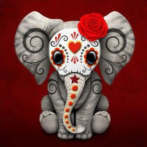 Meet your Posher, Elvia